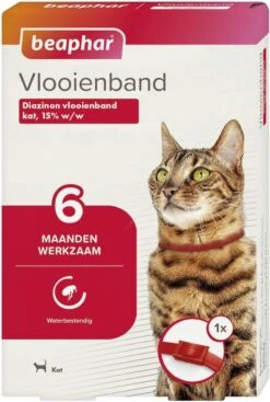 Beaphar Vlooienband Kat - Rood - 1 Stuk -Huisdier Verkoop 807x1200 6