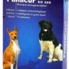 Panacur Ontworming - Middelgroot En Grote Hond - 10 Tabletten -Huisdier Verkoop 832x1200 3