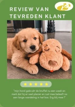 Woefie Hondenknuffel Met Hartslag - Puppyknuffel - Pluche- Puppy Speelgoed- Snuggle Puppy Xl- Knuffel Hond- Baby Knuffel- Knuffel Met Hartslag - Moederhond - Gratis E-Boek - Gratis Schroevendraaier 16 Woefie Hondenknuffel Met Hartslag - Puppyknuffel - Pluche- Puppy Speelgoed- Snuggle Puppy Xl- Knuffel Hond- Baby Knuffel- Knuffel Met Hartslag - Moederhond - Gratis E-Boek - Gratis Schroevendraaier -Huisdier Verkoop 840x1200 8