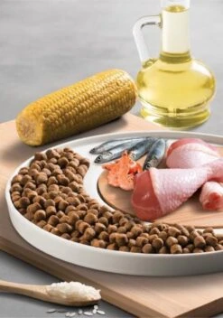 Micho Adult Cat - Premium Kattenvoer - 15 Kg -Huisdier Verkoop 842x1200 3