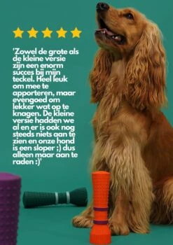 Furmey Zoomies - Honden Speelgoed - Hondenspeeltjes - Kauwbotten Hond - S Groen - 17 Cm 13 Furmey Zoomies - Honden Speelgoed - Hondenspeeltjes - Kauwbotten Hond - S Groen - 17 Cm -Huisdier Verkoop 848x1200 6