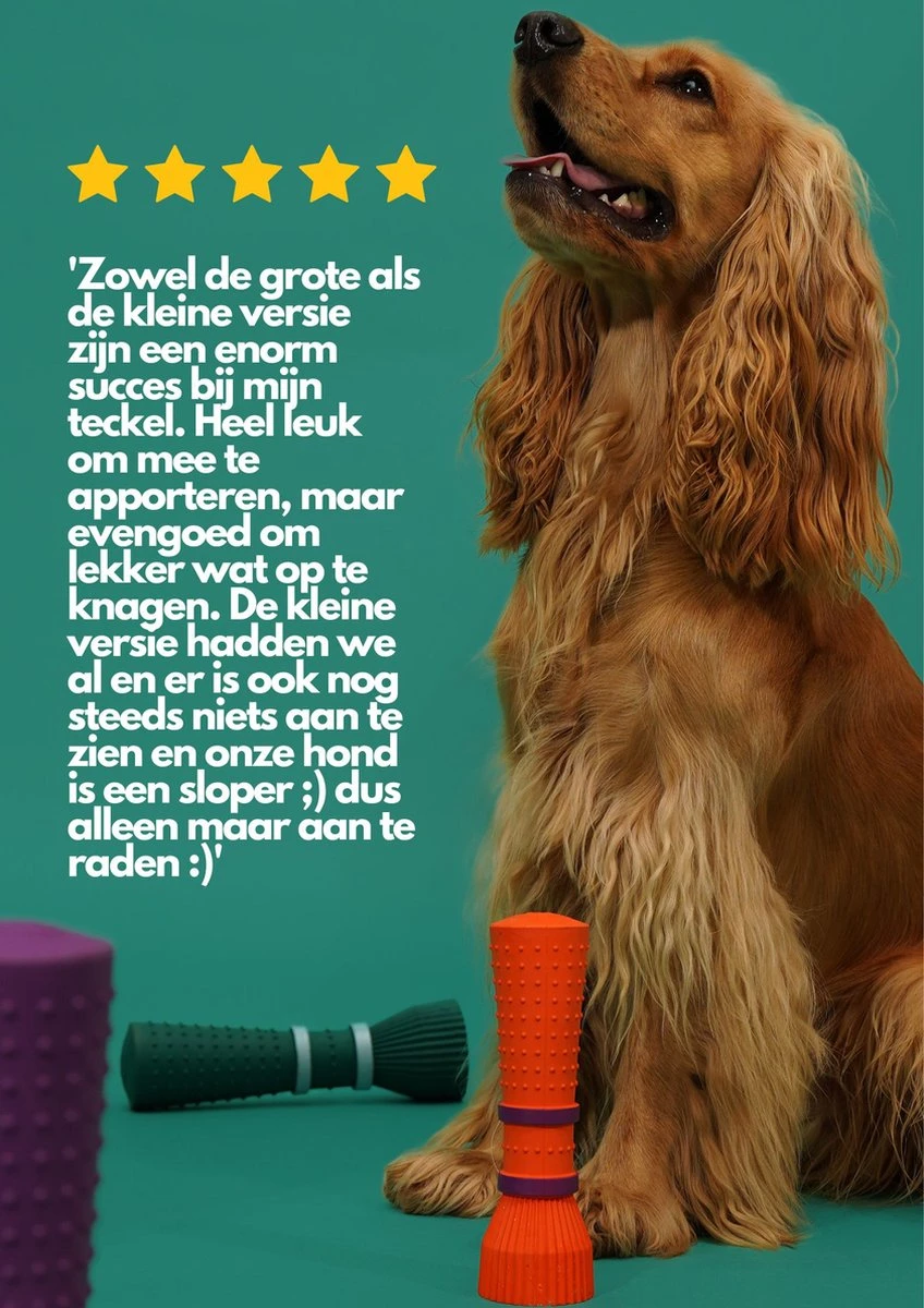 Furmey Zoomies - Honden Speelgoed - Hondenspeeltjes - Kauwbotten Hond - S Groen - 17 Cm 6 Furmey Zoomies - Honden Speelgoed - Hondenspeeltjes - Kauwbotten Hond - S Groen - 17 Cm - Afbeelding 4