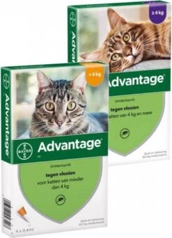 Bayer Anti Vlooienmiddel Advantage 80 > 4 Kg - 4 X 0,8 Ml 34 Bayer Anti Vlooienmiddel Advantage 80 > 4 Kg - 4 X 0,8 Ml -Huisdier Verkoop 866x1200 4