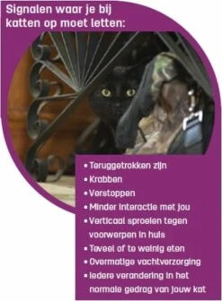 Feliway Classic - Startset - 1 Verdamper + 1 Vulling 48ml - Anti-stress Voor Kat 17 Feliway Classic - Startset - 1 Verdamper + 1 Vulling 48ml - Anti-stress Voor Kat -Huisdier Verkoop 881x1200 13
