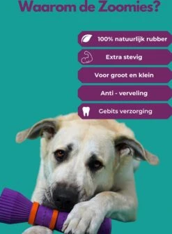 Furmey Zoomies - Honden Speelgoed - Hondenspeeltjes - Kauwbotten Hond - S Groen - 17 Cm 17 Furmey Zoomies - Honden Speelgoed - Hondenspeeltjes - Kauwbotten Hond - S Groen - 17 Cm -Huisdier Verkoop 886x1200 5