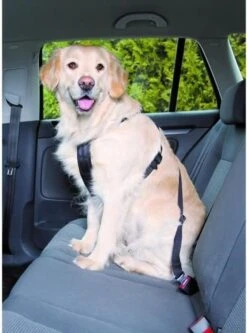 Trixie Auto-Tuig Zwart Maat - M -Huisdier Verkoop 891x1200 2