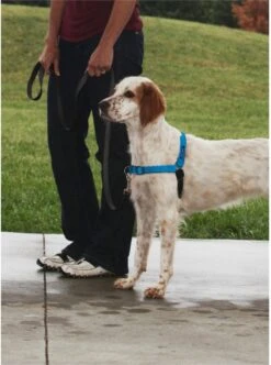 Petsafe Easy Walk® Deluxe Harness - Hondentuigje - Blauw - M - 1,8 M -Huisdier Verkoop 894x1200