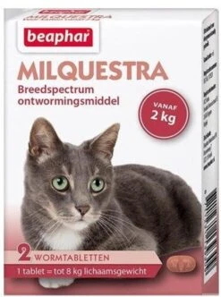 Beaphar Milquestra Kleine Kat/kitten - 0,5 Tot 4 Kg - 2 Tabletten 18 Beaphar Milquestra Kleine Kat/kitten - 0,5 Tot 4 Kg - 2 Tabletten -Huisdier Verkoop 894x1200 7