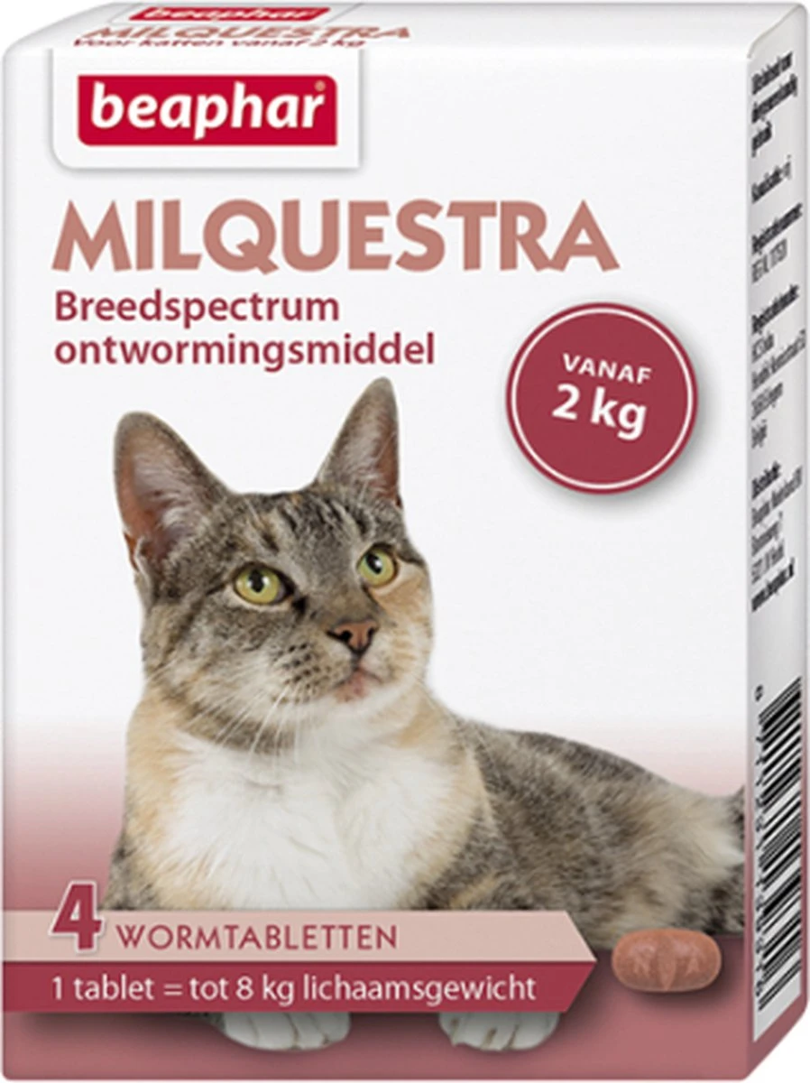 Beaphar Milquestra Ontworming Tabletten Kat 2 - 12 Kg 4 Tabletten 13 Beaphar Milquestra Ontworming Tabletten Kat 2 - 12 Kg 4 Tabletten - Afbeelding 11