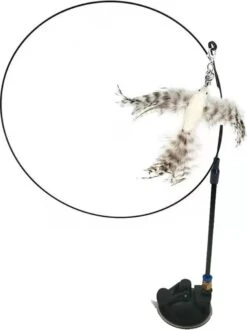 Kattenspeelgoed - Simulatie Vogel - Interactieve Grappige Kattenspeeltjes - Kattenhengel Met Zuignap + 4 Vogels + Een Kattenhengel GRATIS 31 Kattenspeelgoed - Simulatie Vogel - Interactieve Grappige Kattenspeeltjes - Kattenhengel Met Zuignap + 4 Vogels + Een Kattenhengel GRATIS -Huisdier Verkoop 898x1200 7