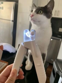 SunnyPets - Professionele Dieren Nagelknipper - Wit - Met LED En Vijl - Hond - Kat - Geschikt Voor Alle - Nageltang -Huisdier Verkoop 899x1200 8