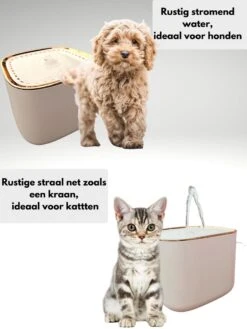 Glorious Online Drinkfontein - Katten/Honden - Dieren Drinkbakken - Incl Filter- Luxe -Huisdier Verkoop 900x1200 28