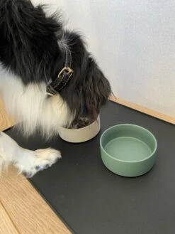 BoDutch - Placemat Voor Voerbak - Voermat Hond Kat - Zwart - Siliconen - 60x40cm -Huisdier Verkoop 900x1200 31