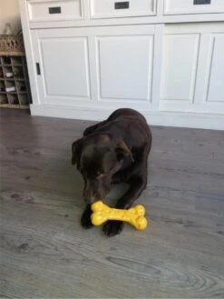 Nylabone Extreme Kauwbot Met Kaassmaak - Voor De Krachtigste Kauwers - Vulbaar Met Smeersels Zoals Pindakaas - XS/M/L - Large -Huisdier Verkoop 900x1200 42