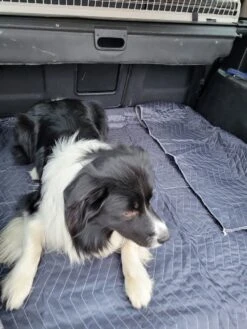 Luxe Hondendeken 200 X 150 Cm Auto Achterbank Kofferbak Vuilafstotend & Beschermend -Huisdier Verkoop 900x1200 49