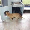 Bronneger Exclusive - Kattenhuis - XXL - Kattenbak Ombouw Kast - Kattenmand