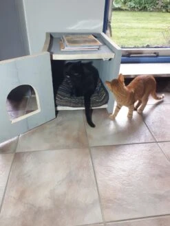 Bronneger Exclusive - Kattenhuis - XXL - Kattenbak Ombouw Kast - Kattenmand 20 Bronneger Exclusive - Kattenhuis - XXL - Kattenbak Ombouw Kast - Kattenmand -Huisdier Verkoop 900x1200 69