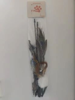 FUZLY - Kattenspeelgoed - Hengel Met Veer - Hengel Met 5 Opzetstukjes - Kattenspeeltjes - Bewegend Kattenspeelgoed- Kattenspeeltjes Intelligentie - Kattenhengel - Kattenspeeltje Interactief -Huisdier Verkoop 902x1200 4