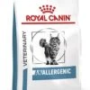 Royal Canin Veterinary Diet Cat Anallergenic - Kattenvoer - 4 Kg 1 Royal Canin Veterinary Diet Cat Anallergenic - Kattenvoer - 4 Kg -Huisdier Verkoop 909x1200