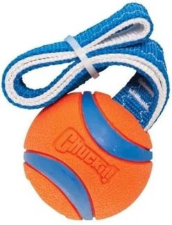 Chuckit! Chuckit Ultra Tug – Hondenspeelgoed - Blauw/Oranje – Large - ø 7 Cm 19 Chuckit! Chuckit Ultra Tug – Hondenspeelgoed - Blauw/Oranje – Large - ø 7 Cm -Huisdier Verkoop 914x1200 5