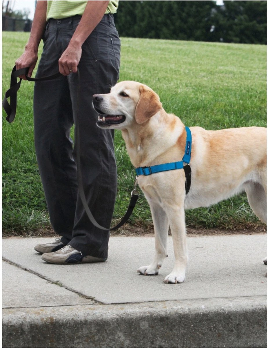 PetSafe Easy Walk® Deluxe Harness - Hondentuig - Blauw - L -1,8 M 13 PetSafe Easy Walk® Deluxe Harness - Hondentuig - Blauw - L -1,8 M - Afbeelding 11