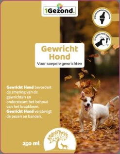 MSM En Glucosamine Gewricht Soepel Voor Honden 250 Ml 9 MSM En Glucosamine Gewricht Soepel Voor Honden 250 Ml -Huisdier Verkoop 935x1200 1