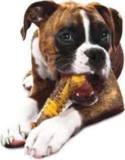 Nylabone Extreme Kauwbot Textuur Met Rund- En Kaassmaak -Huisdier Verkoop 937x1200 5