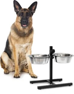 Relaxdays Hondenvoerbak Op Standaard - In Hoogte Verstelbaar - Dubbele Voerbak - Hondenbak - 2 X 2,15 Liter -Huisdier Verkoop 952x1200