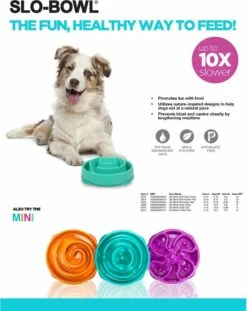 Outward Hound Slo Bowl Fun Feeder Voerbak - Anti Schrok Voerbak - Voerbak Slo-Bowl Mini Drop Teal Lichtblauw - 22X22X5 CM -Huisdier Verkoop 954x1200