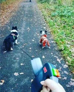 Wigzi Dual Doggie 2.0 Voor Twee Honden - Hondenriem - Grijs - 3m - <22 Kg (per Hond) -Huisdier Verkoop 960x1200 1