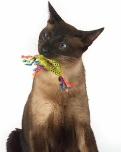 Petstages Dental Health Chew Kattenspeelgoed - Catnip -Huisdier Verkoop 960x1200 21