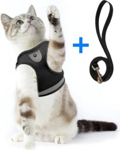 Ease Store Kattentuigje – Maat M – Met Looplijn – Kittentuigje – Dierentuigje – Hondentuigje – Reflecterend – Zwart 10 Ease Store Kattentuigje – Maat M – Met Looplijn – Kittentuigje – Dierentuigje – Hondentuigje – Reflecterend – Zwart -Huisdier Verkoop 960x1200 22