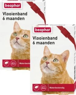 Beaphar Vlooienband 6 Maanden Kat 35 Cm - Anti Vlooienmiddel - 2 X Rood -Huisdier Verkoop 964x1200 4