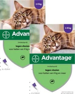 Bayer Advantage 80 Kat 4 Pip - Anti Vlooienmiddel - 2 X 0.8 Ml - > 4 Kg -Huisdier Verkoop 965x1200 5