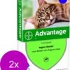 Bayer Advantage 80 Kat 4 Pip - Anti Vlooienmiddel - 2 X 0.8 Ml - > 4 Kg -Huisdier Verkoop 968x1200 4