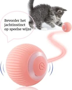 Otiume Slimme Katten Speeltje - Interactieve Zelf Rollende Bal Voor Katten - Kattenspeeltjes - USB Oplaadbaar- Turquoise -Huisdier Verkoop 968x1200 6