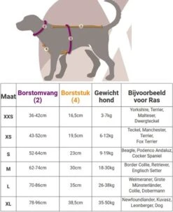 Anny.X Hondentuig Y Tuig Bruin Barnsteen Maat L Geschikt Voor Borstomvang 70-86cm 15 Anny.X Hondentuig Y Tuig Bruin Barnsteen Maat L Geschikt Voor Borstomvang 70-86cm -Huisdier Verkoop 977x1200 3