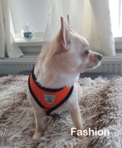 Luxyana Pets Hondentuig - M - 32-55cm - Harnas Voor Hond Of Grote Kat - Easy Step-in Hondenharnas - Inclusief Bijpassend Riempje - Zwart 21 Luxyana Pets Hondentuig - M - 32-55cm - Harnas Voor Hond Of Grote Kat - Easy Step-in Hondenharnas - Inclusief Bijpassend Riempje - Zwart -Huisdier Verkoop 992x1200 6