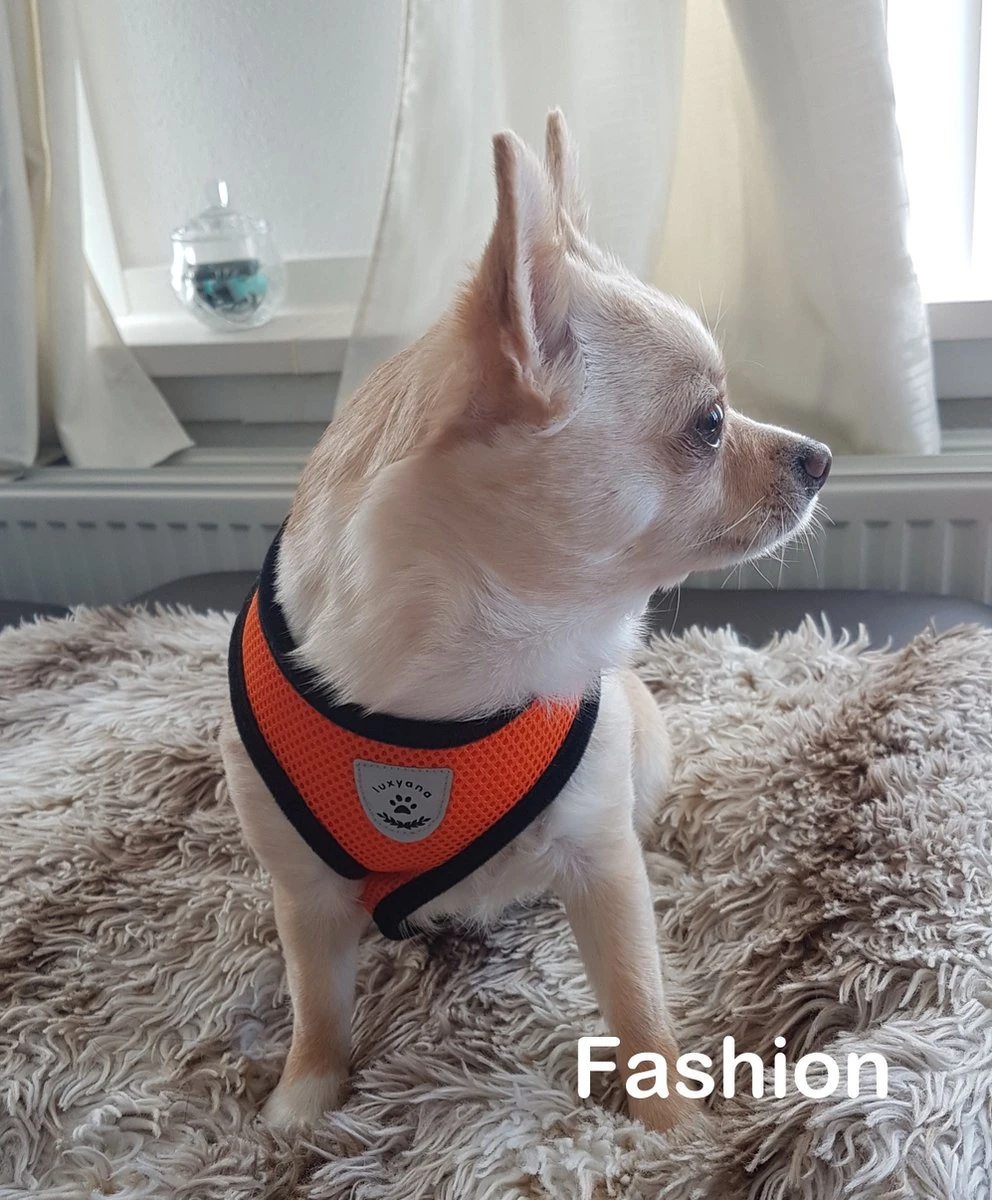 Luxyana Pets Hondentuig - M - 32-55cm - Harnas Voor Hond Of Grote Kat - Easy Step-in Hondenharnas - Inclusief Bijpassend Riempje - Zwart 9 Luxyana Pets Hondentuig - M - 32-55cm - Harnas Voor Hond Of Grote Kat - Easy Step-in Hondenharnas - Inclusief Bijpassend Riempje - Zwart - Afbeelding 7