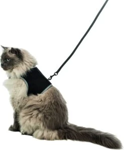 Trixie Soft Kattentuig - Zwart - 1,2 M -Huisdier Verkoop 994x1200 2